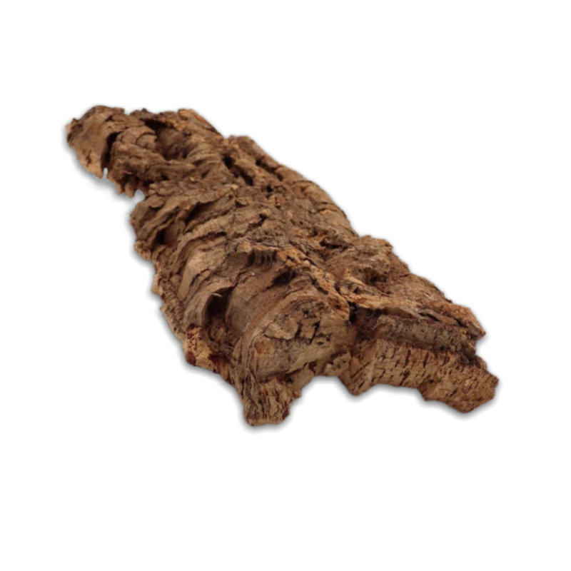 Cork Bark Piece Bug Pets LTD