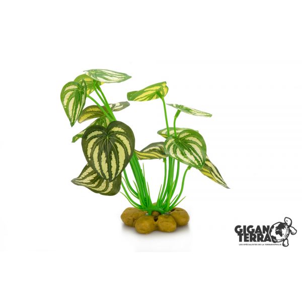Komodo Broadleaf Canopy, 26cm (10