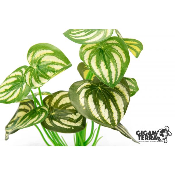 Komodo Broadleaf Canopy, 26cm (10