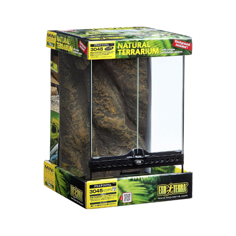 Exo Terra Glass Terrarium, 30 X 30 X 45cm | Bug Pets LTD